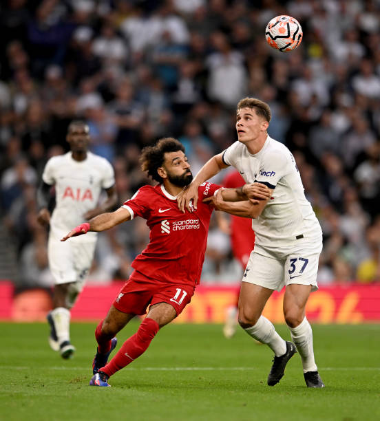 也表明其提 也表明其提