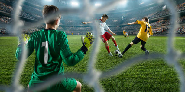 兰新赛季的 兰新赛季的